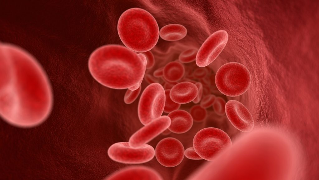 Blood Why Is Blood Red? How Much Blood Does A Human Produce Per Day