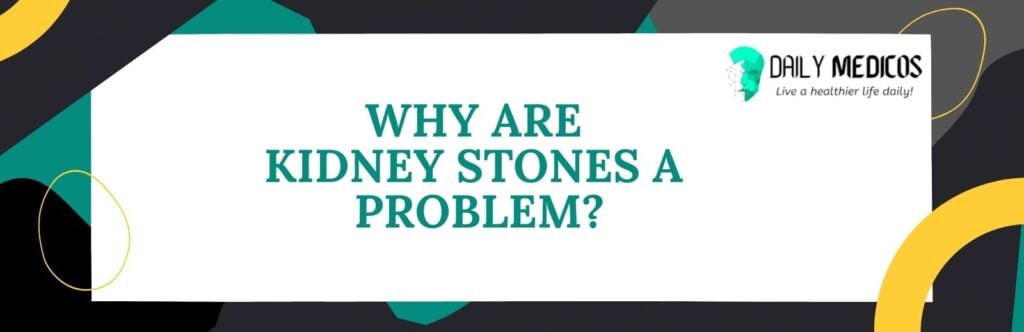 Kidney Stones; Symptoms, Causes, Types of Stones, Treatment, and Preventions 17 Kidney Stones; Symptoms, Causes, Types of Stones, Treatment, and Preventions 10 - Daily Medicos