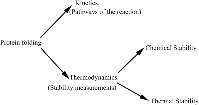 why-is-protein-folding-important-in-biology-detailed-guide-daily