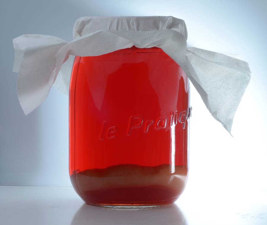 Is Kombucha Keto? 2 Is Kombucha Keto? 2 - Daily Medicos